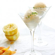 granita od crvenog grejpa sa ]umbirom i belim rumom